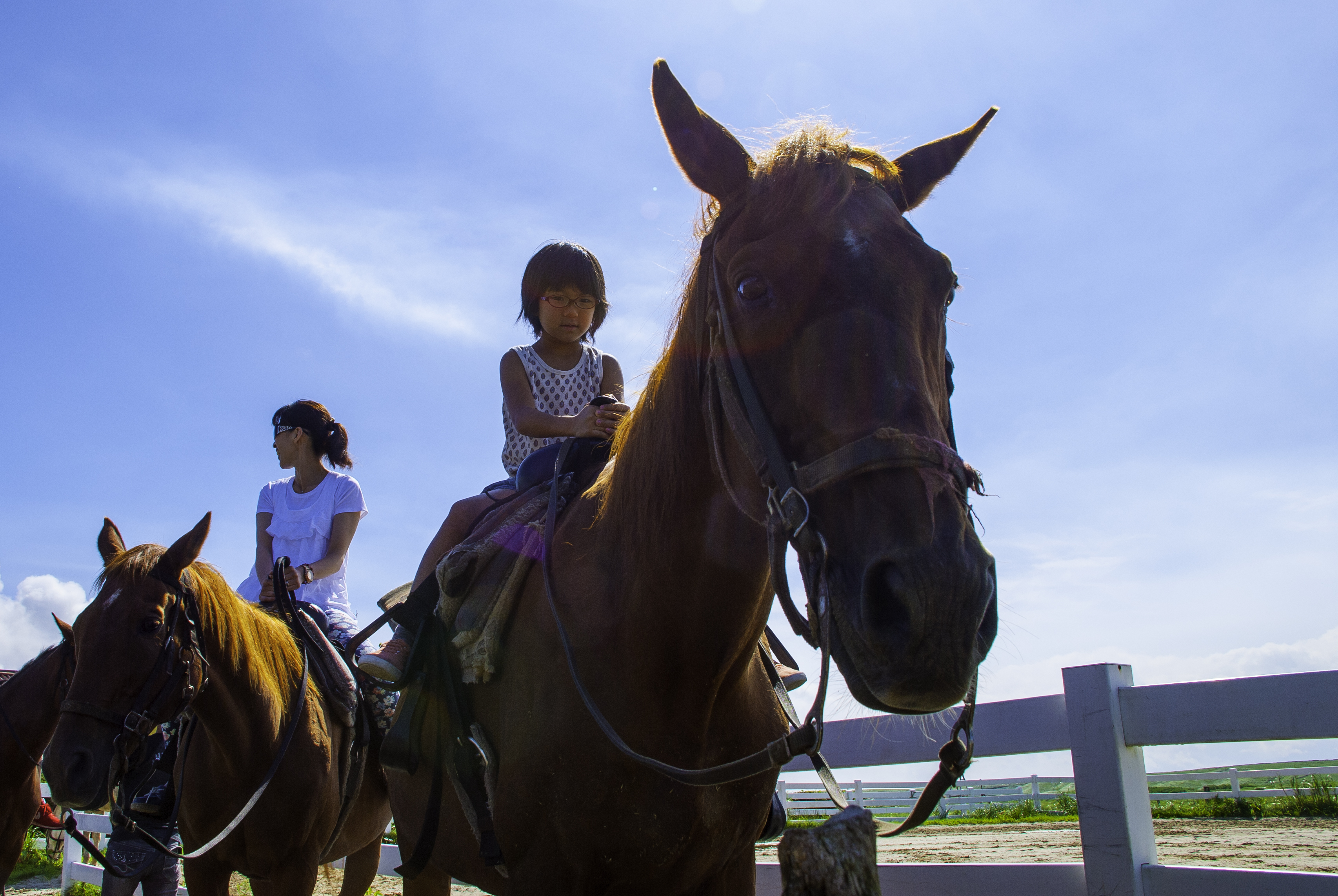 ツアー一覧｜ 株式会社KASSE JAPAN(カッセジャパン)